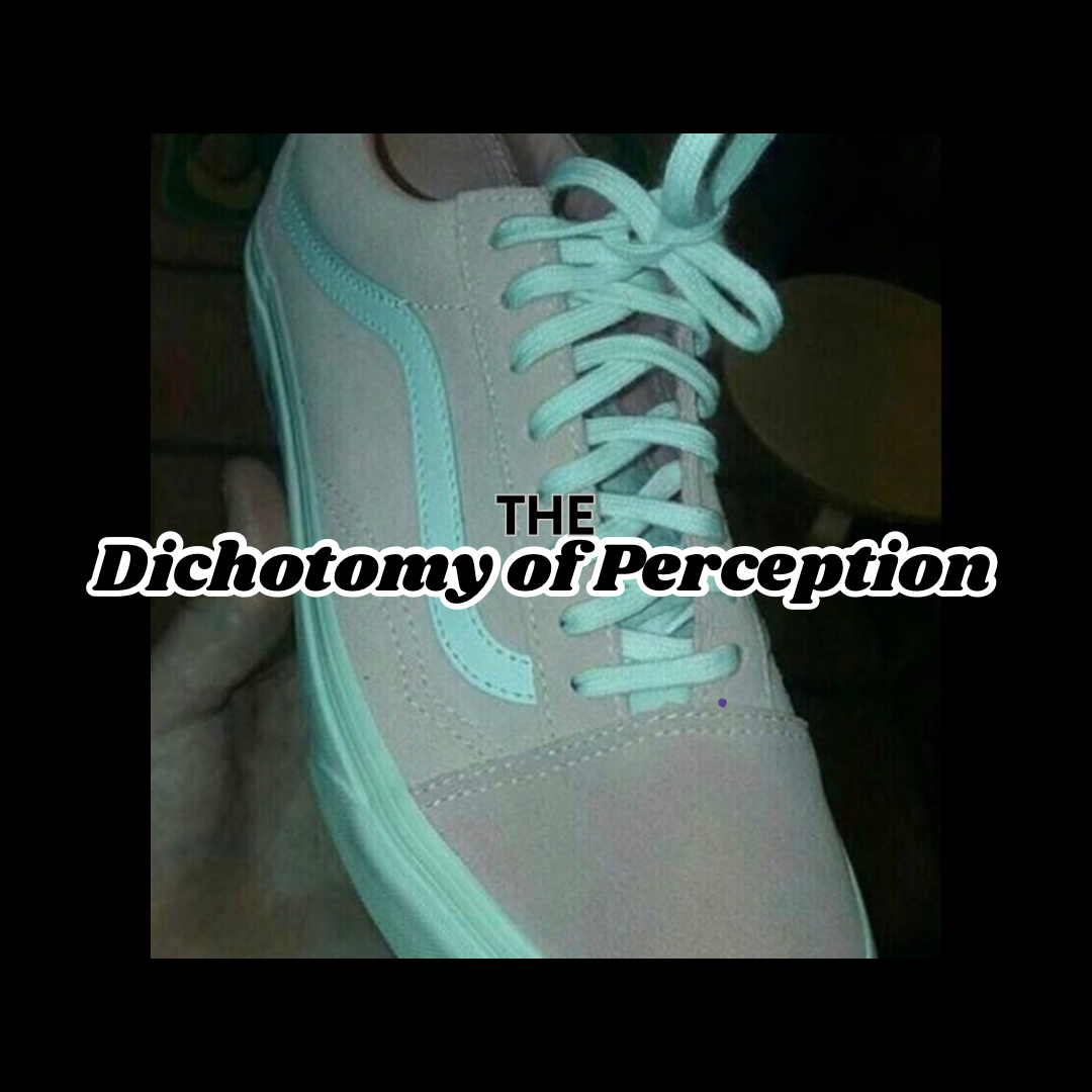 The Dichotomy of Perception: Lessons from the Famous Shoe