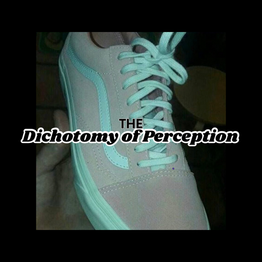 The Dichotomy of Perception: Lessons from the Famous Shoe